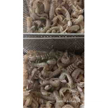 camarones de mantis fritos fritos congelados